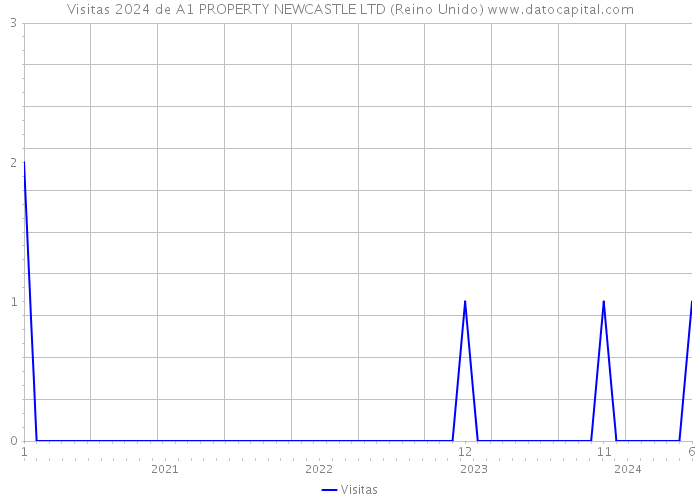 Visitas 2024 de A1 PROPERTY NEWCASTLE LTD (Reino Unido) 