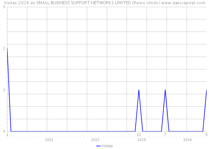 Visitas 2024 de SMALL BUSINESS SUPPORT NETWORKS LIMITED (Reino Unido) 