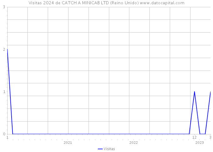 Visitas 2024 de CATCH A MINICAB LTD (Reino Unido) 