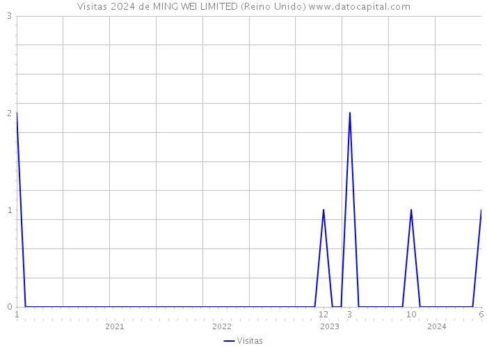 Visitas 2024 de MING WEI LIMITED (Reino Unido) 