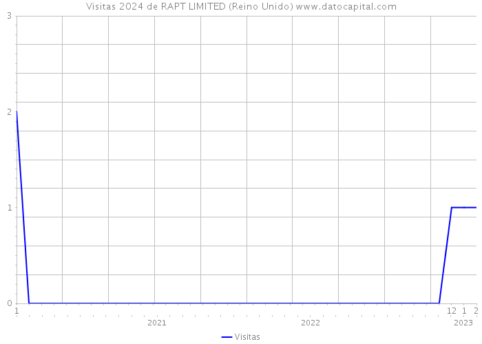 Visitas 2024 de RAPT LIMITED (Reino Unido) 