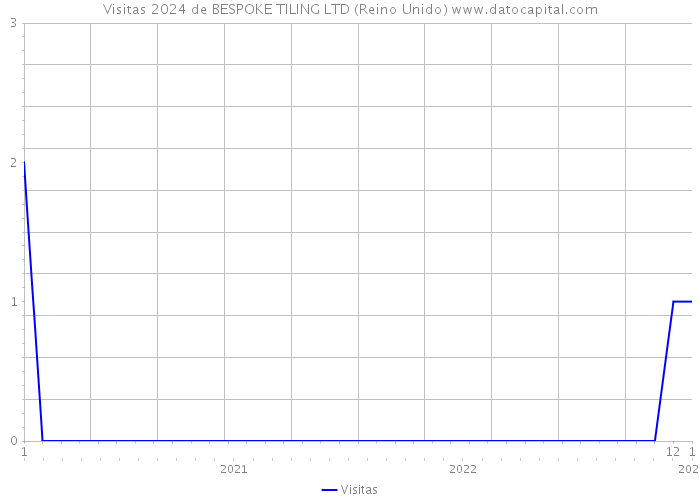 Visitas 2024 de BESPOKE TILING LTD (Reino Unido) 