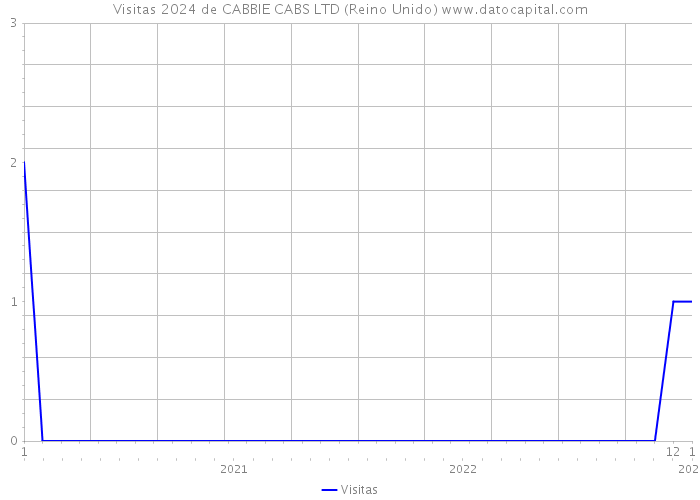 Visitas 2024 de CABBIE CABS LTD (Reino Unido) 