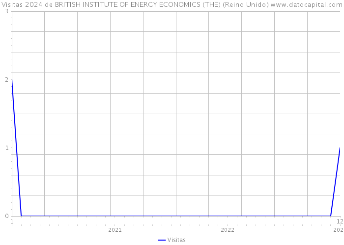 Visitas 2024 de BRITISH INSTITUTE OF ENERGY ECONOMICS (THE) (Reino Unido) 