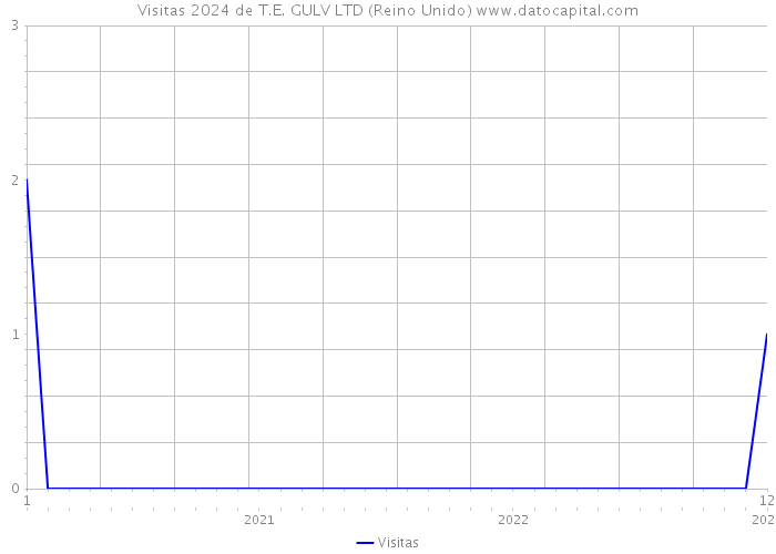 Visitas 2024 de T.E. GULV LTD (Reino Unido) 