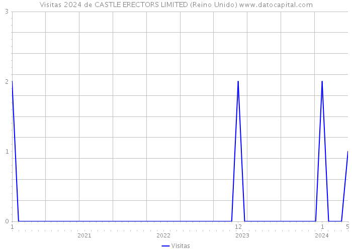 Visitas 2024 de CASTLE ERECTORS LIMITED (Reino Unido) 