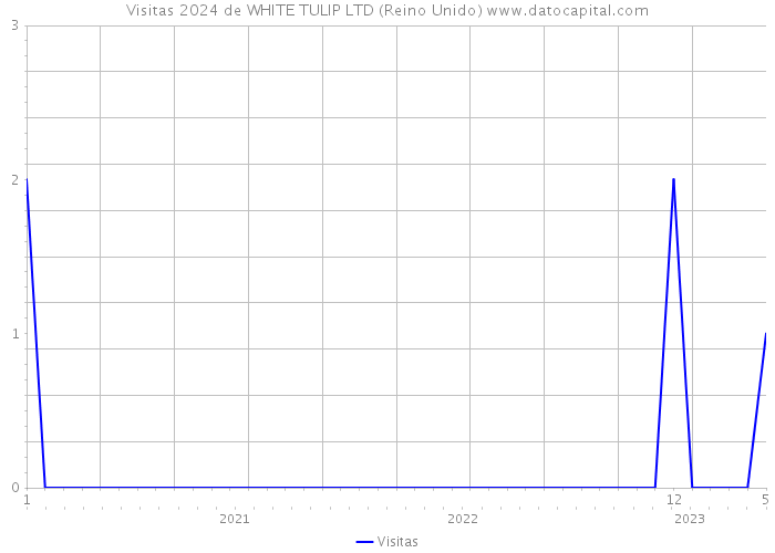 Visitas 2024 de WHITE TULIP LTD (Reino Unido) 