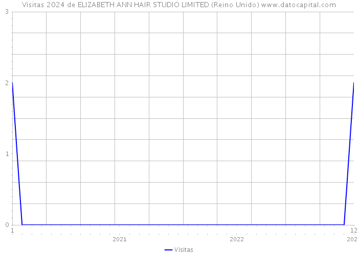 Visitas 2024 de ELIZABETH ANN HAIR STUDIO LIMITED (Reino Unido) 