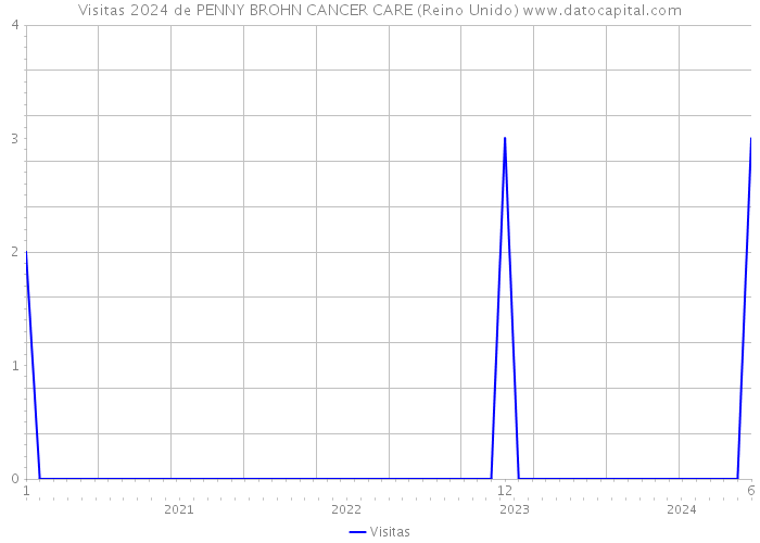 Visitas 2024 de PENNY BROHN CANCER CARE (Reino Unido) 