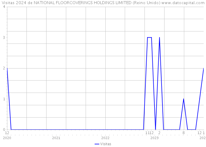 Visitas 2024 de NATIONAL FLOORCOVERINGS HOLDINGS LIMITED (Reino Unido) 