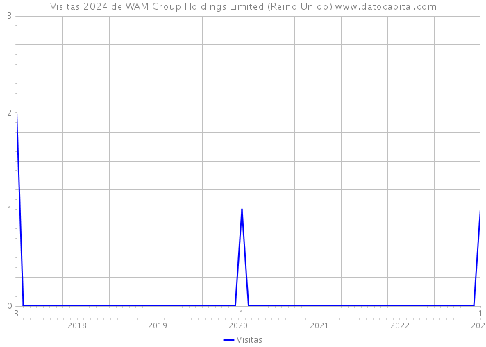 Visitas 2024 de WAM Group Holdings Limited (Reino Unido) 