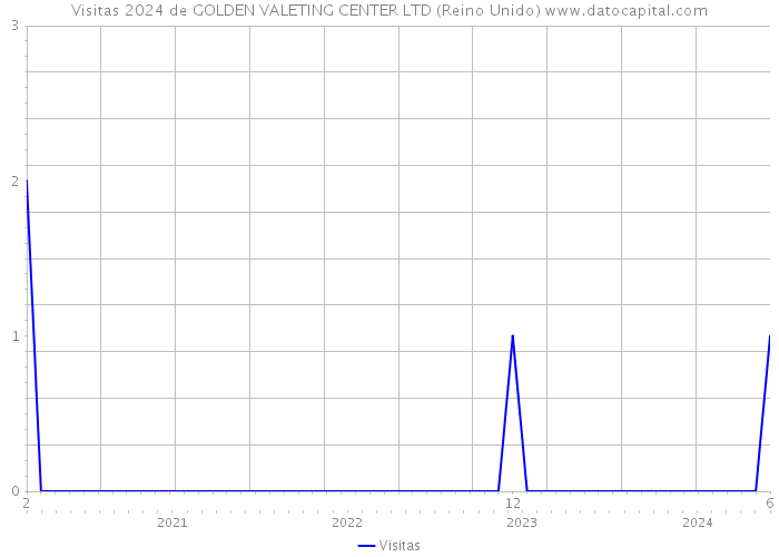 Visitas 2024 de GOLDEN VALETING CENTER LTD (Reino Unido) 