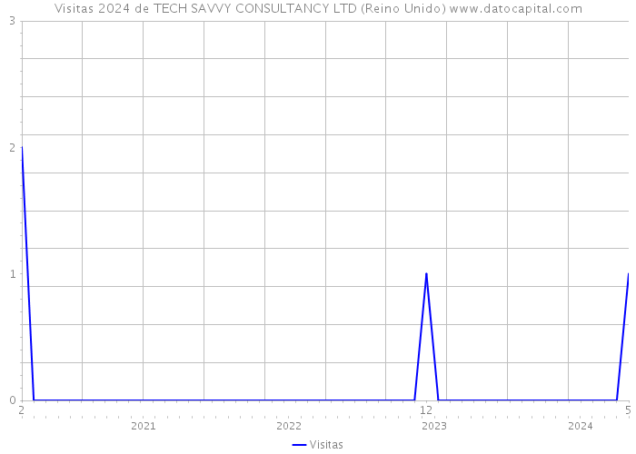 Visitas 2024 de TECH SAVVY CONSULTANCY LTD (Reino Unido) 