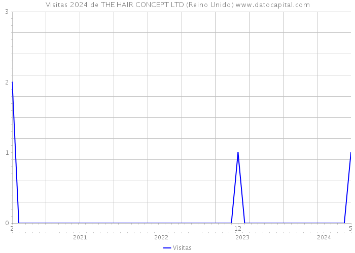 Visitas 2024 de THE HAIR CONCEPT LTD (Reino Unido) 