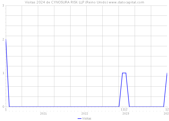 Visitas 2024 de CYNOSURA RISK LLP (Reino Unido) 