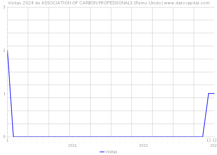 Visitas 2024 de ASSOCIATION OF CARBON PROFESSIONALS (Reino Unido) 