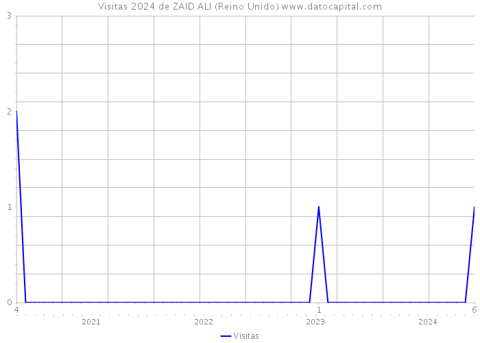 Visitas 2024 de ZAID ALI (Reino Unido) 