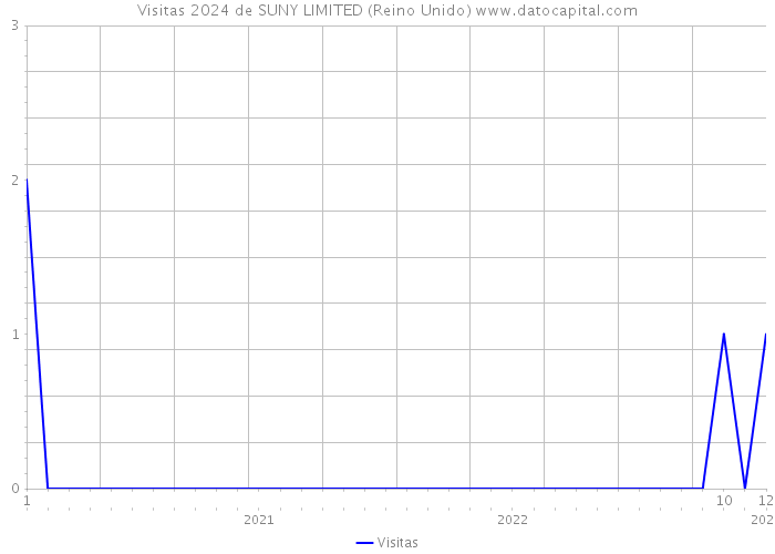 Visitas 2024 de SUNY LIMITED (Reino Unido) 