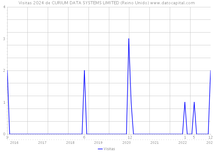 Visitas 2024 de CURIUM DATA SYSTEMS LIMITED (Reino Unido) 