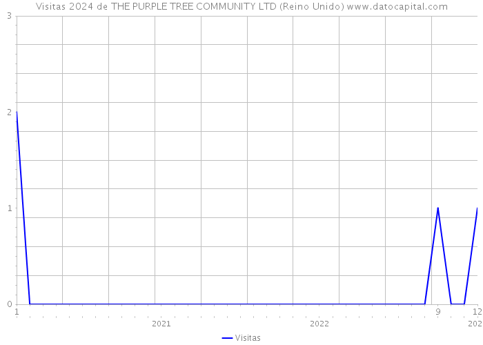 Visitas 2024 de THE PURPLE TREE COMMUNITY LTD (Reino Unido) 