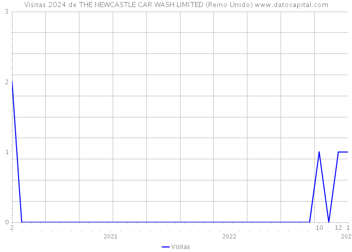 Visitas 2024 de THE NEWCASTLE CAR WASH LIMITED (Reino Unido) 