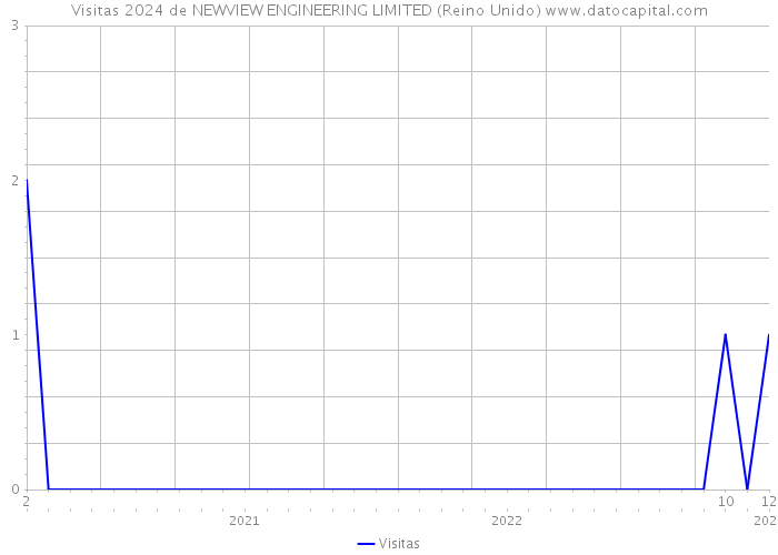 Visitas 2024 de NEWVIEW ENGINEERING LIMITED (Reino Unido) 