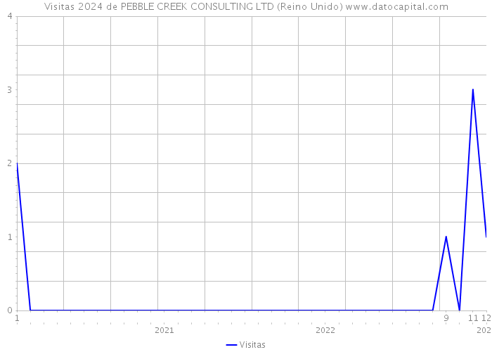 Visitas 2024 de PEBBLE CREEK CONSULTING LTD (Reino Unido) 