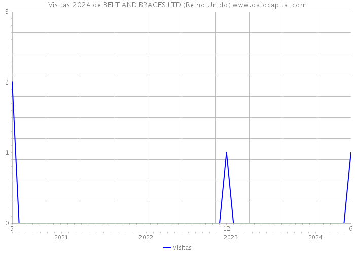 Visitas 2024 de BELT AND BRACES LTD (Reino Unido) 