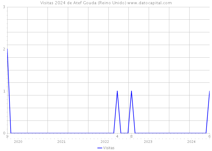 Visitas 2024 de Atef Gouda (Reino Unido) 