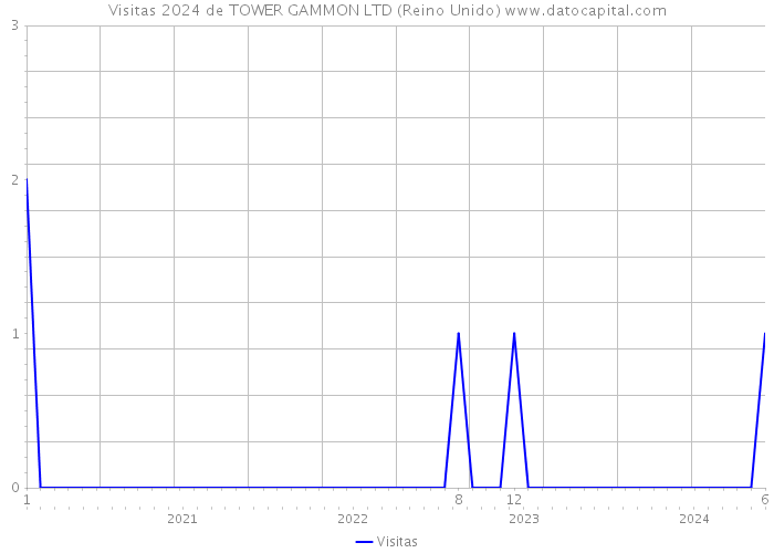 Visitas 2024 de TOWER GAMMON LTD (Reino Unido) 