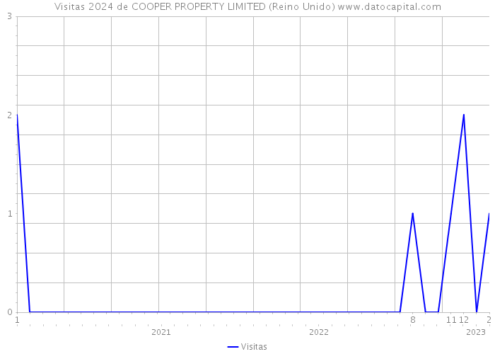 Visitas 2024 de COOPER PROPERTY LIMITED (Reino Unido) 