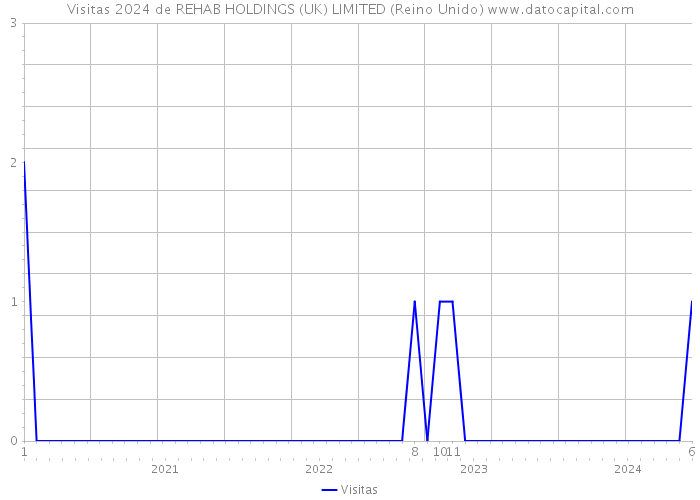 Visitas 2024 de REHAB HOLDINGS (UK) LIMITED (Reino Unido) 