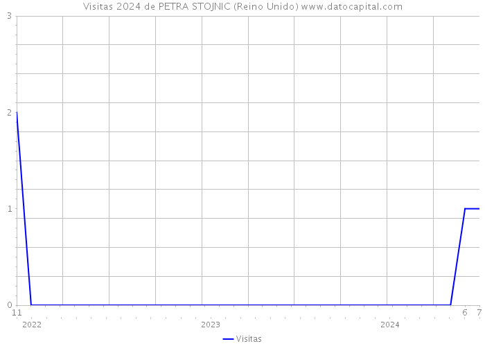 Visitas 2024 de PETRA STOJNIC (Reino Unido) 