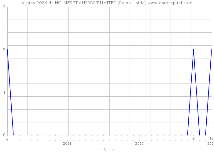 Visitas 2024 de HOLMES TRANSPORT LIMITED (Reino Unido) 