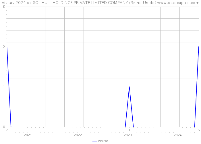 Visitas 2024 de SOLIHULL HOLDINGS PRIVATE LIMITED COMPANY (Reino Unido) 