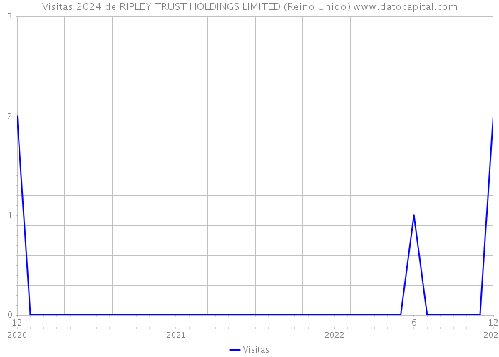 Visitas 2024 de RIPLEY TRUST HOLDINGS LIMITED (Reino Unido) 