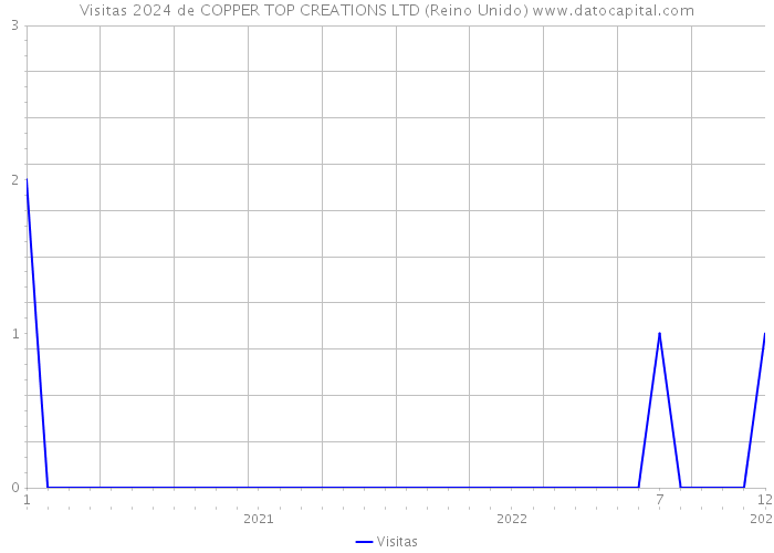 Visitas 2024 de COPPER TOP CREATIONS LTD (Reino Unido) 