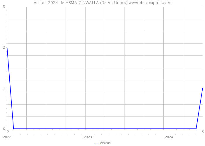 Visitas 2024 de ASMA GINWALLA (Reino Unido) 