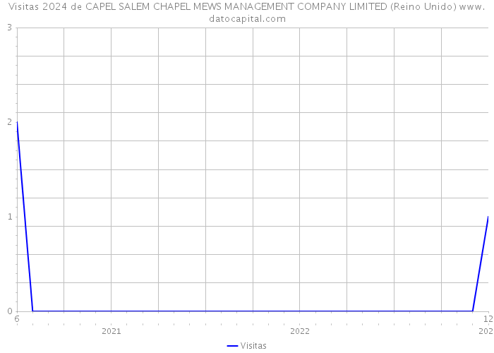 Visitas 2024 de CAPEL SALEM CHAPEL MEWS MANAGEMENT COMPANY LIMITED (Reino Unido) 