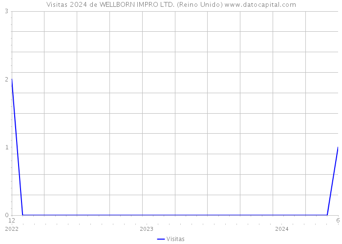 Visitas 2024 de WELLBORN IMPRO LTD. (Reino Unido) 