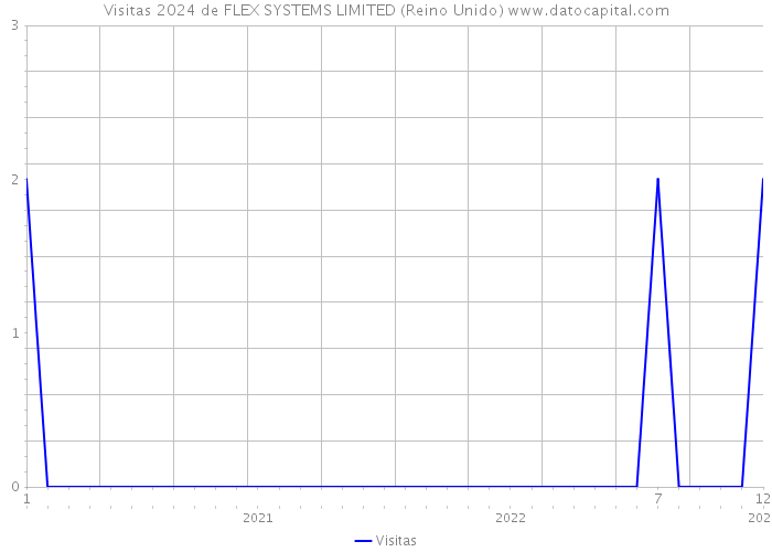 Visitas 2024 de FLEX SYSTEMS LIMITED (Reino Unido) 