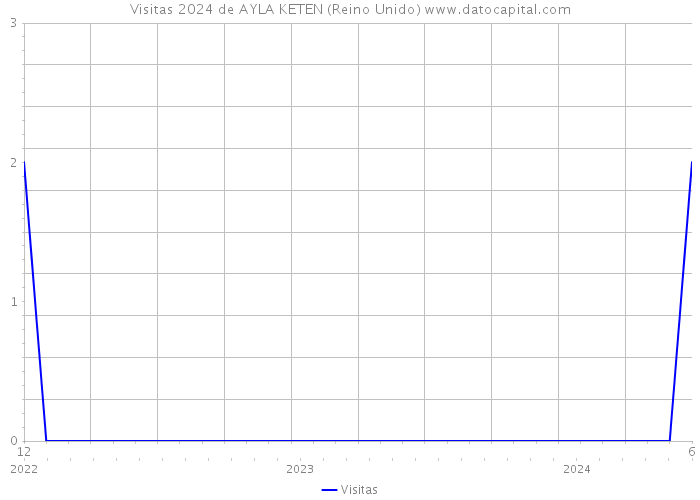 Visitas 2024 de AYLA KETEN (Reino Unido) 