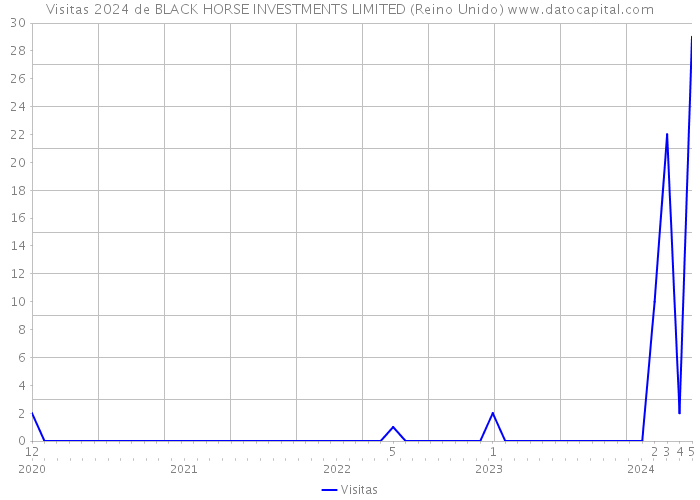 Visitas 2024 de BLACK HORSE INVESTMENTS LIMITED (Reino Unido) 