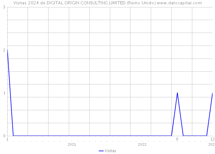 Visitas 2024 de DIGITAL ORIGIN CONSULTING LIMITED (Reino Unido) 