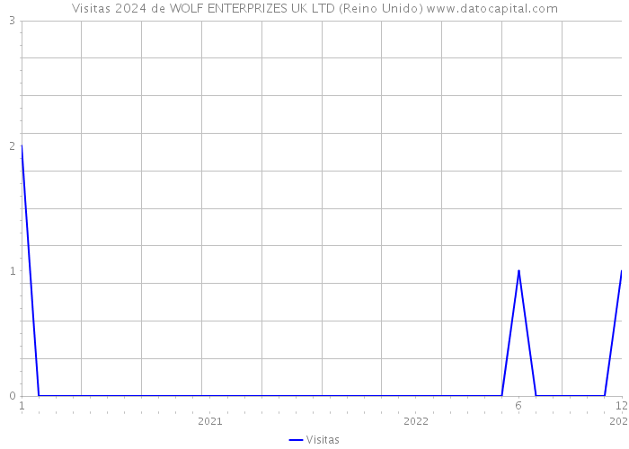 Visitas 2024 de WOLF ENTERPRIZES UK LTD (Reino Unido) 