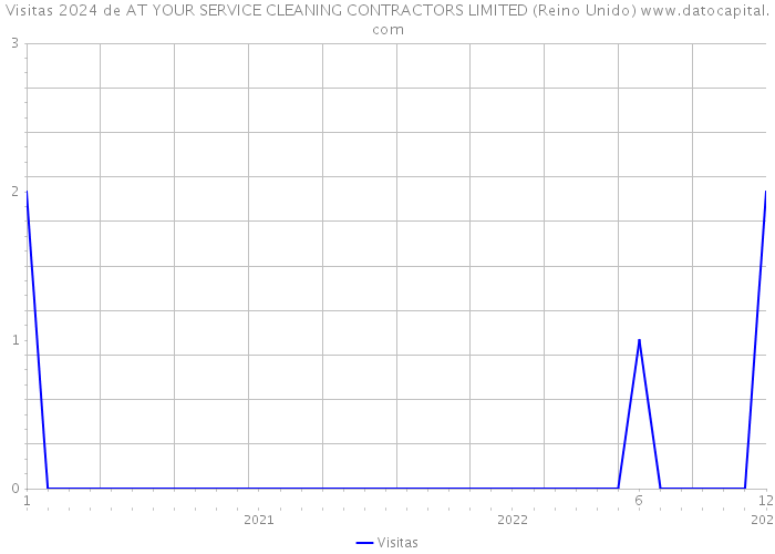 Visitas 2024 de AT YOUR SERVICE CLEANING CONTRACTORS LIMITED (Reino Unido) 