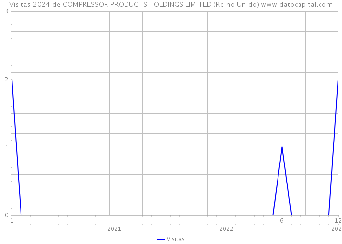 Visitas 2024 de COMPRESSOR PRODUCTS HOLDINGS LIMITED (Reino Unido) 