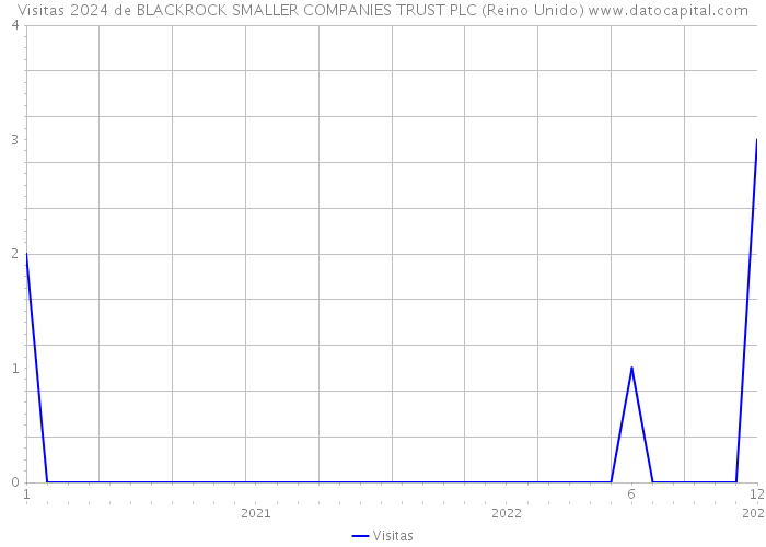 Visitas 2024 de BLACKROCK SMALLER COMPANIES TRUST PLC (Reino Unido) 