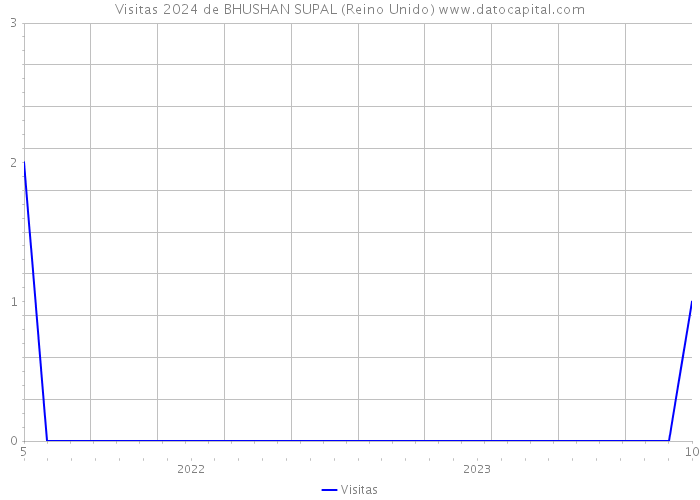 Visitas 2024 de BHUSHAN SUPAL (Reino Unido) 