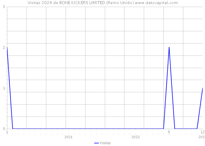 Visitas 2024 de BONE KICKERS LIMITED (Reino Unido) 